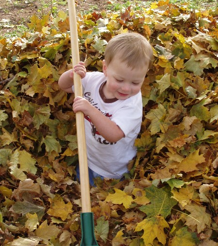 Hayden raking in leaf pile