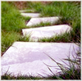 stepping_stones