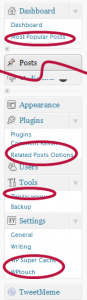 plugin options